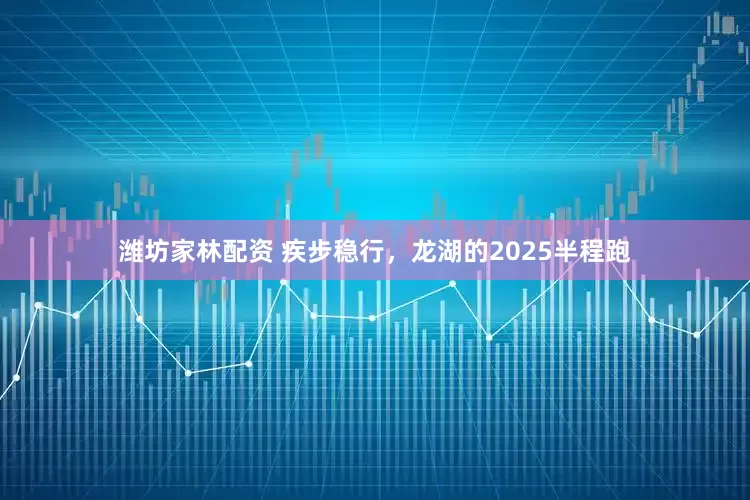 潍坊家林配资 疾步稳行，龙湖的2025半程跑