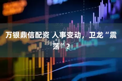万银鼎信配资 人事变动，卫龙“震荡”？
